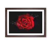Red Rose in The Shadows Paint Splash Framed Print | A2 Walnut Framed Wall Art | Ready to Hang | Modern Floral Picture | Living Room Bedroom Lounge Office