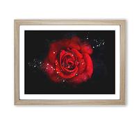 Red Rose In The Shadows Paint Splash Modern Art Framed Wall Art Print, Ready to Hang Picture for Living Room Bedroom Home Office Décor, Oak A3 (46 x 34 cm)