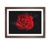 Red Rose In The Shadows Paint Splash Modern Art Framed Wall Art Print, Ready to Hang Picture for Living Room Bedroom Home Office Décor, Walnut A3 (46 x 34 cm)