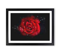 Red Rose In The Shadows Paint Splash Modern Art Framed Wall Art Print, Ready to Hang Picture for Living Room Bedroom Home Office Décor, Black A2 (64 x 46 cm)