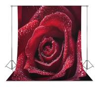 Red Rose Photo Studio Backgrounds Black Photography Backdrop for Portrait Video Shooting Live 56"x79"