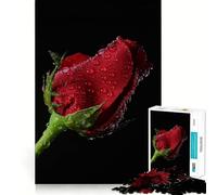 Red Rose with Water Droplets Jigsaw Puzzle for Teenagers 1000 Pieces Boost Memory Relaxing Fun Premium Cut Stylish Gift (50x75cm)