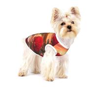 red roses at sunset Small Pet Cotton Vest L Full Print Dog Cat Soft Breathable Elastic Apparel Daily Party Outfit