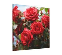 Red Roses Bush in The Garden Wall Art for Living Room 16"x16" Canvas Painting Hanging Modern Artwork Canvas Print Aesthetic Wall Paintings for Bedroom Bathroom Kitchen Office Home Wallart Print Decor