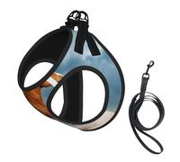 Red Runing Horse,Pet Harness,Adjustable Reflective Dog Harness,Pet Leash Vest,M