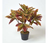 (Red) Rushfoil' Artificial Croton Plant with Pot, 65 cm