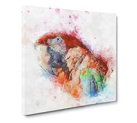 Red Scarlet Macaw Parrot Canvas Print | Gallery Wrapped 30mm Frame Wall Art | 20x20 inches | Ready to Hang | Abstract Animals Picture | Living Room Bedroom Lounge Office