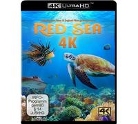 RED SEA (4K UHD) - MAYER,TIMO JOH. ULTRA HD BLU-RAY NEW