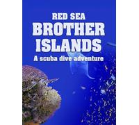 Red Sea: Brother Islands a Scuba Dive Adventure