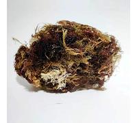 Red Sea Moss,Dried Seaweed for Natural Jelly and Dessert, 100g
