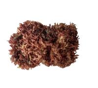 Red Sea Moss,Dried Seaweed,Salad Seaweed 200g