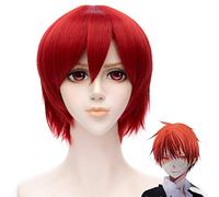 Red Short Straight BangsTail Anti Warping Wig 30 cm Assassination Classroom Akaban Karma Cosplay Wig (Disposable)