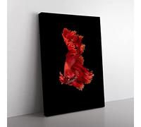 Red Siamese Fighting Fish Modern Canvas Wall Art Print Ready to Hang, Framed Picture for Living Room Bedroom Home Office Décor, 76x50 cm (30x20 Inch)