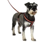 Company of Animals HALTI Comfy Harness, Lightweight, Fleece-Lined, Reflective & Adjustable Dog Harness, Front & Back Ring for a Dog Lead, Size Small, Red