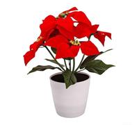 Red Solar Christmas Flower Light 30cm Outdoor | ABS plastic construction, solar powered charging, warm LED glow, weather resistant, reusable seasonal ornament