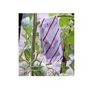 Red Spider Mite Treatment - Amblyseius Andersonii 10 sachets