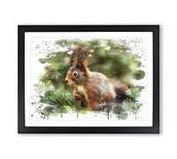 Red Squirrel 6 V3 Modern Framed Print | A4 Black Framed Wall Art | Ready to Hang | Modern Animal Picture | Living Room Bedroom Lounge Office