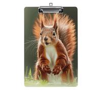 Red Squirrel Clipboard, A4 Acrylic Clipboard with Hanging Hole, Ultra-Light Clip Board - Holds 100 Sheets, Shatterproof Document Holder for Office, 12.5" X 8.5"
