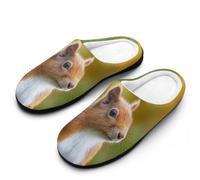 Red Squirrel Cotton Men's Slip-on Slippers 11-12（44-45）