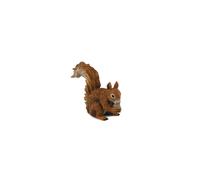 Red Squirrel - Eating