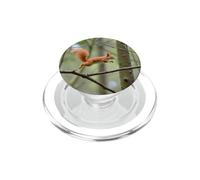 Red Squirrel Forest Leap Woodland Wildlife Design PopSockets PopGrip for MagSafe