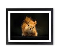 Red Squirrel Modern Art Framed Print | A3 Black Framed Wall Art | Ready to Hang | Modern Animal Picture | Living Room Bedroom Lounge Office