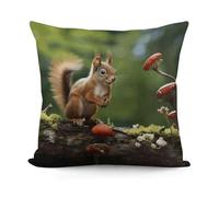 Red Squirrel on Small Green Hill Square Pillowcases with Zipper Soft Comfortable Pillow Cases Lightweight Breathable Throw Pillow Cover for Living Room Bedroom Sofa Couch 18 X 18 Inches