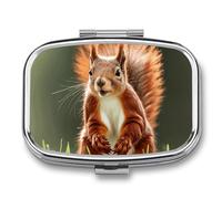 Red Squirrel Pill Box 2 Compartment - Small Metal Medicine Organizer Portable Pill Case for Purse Pocket Travel Vitamin Organizer for Men Women, BPA-Free