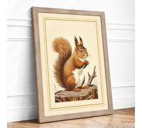 Red Squirrel Portrait Boho Framed Wall Art Print A1 (84.1×59.4cm) Oak, Wall Decor for Living Room, Bedroom, Office & Home, Ready to Hang, Art Gift
