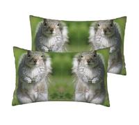 Red Squirrel Print 12x20in Pillow Cover, Decorative Cushion Case, For Couch Sofa Bed Living Room Home Decor