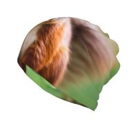 Red Squirrel Print Beanie Chemo Hat Cancer Headwear Hats Knitted Hats Nightcap Skull Cap for Women Men, Black, S