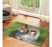 Red Squirrel print Cats Pet Bowl Placemat Pet Feeding Mats for Dogs, Non-Slip PU Leather Tablecloth for Pets