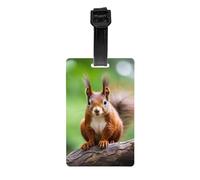 Red Squirrel Print Luggage Tags for Suitcases Waterproof Labels Set Travel Bag Easy-to-Identify