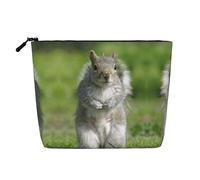 Red Squirrel Print Makeup Bag for Women,Portable Cosmetic Bag Toiletry Bag, Capacious Travel Makeup Organizer