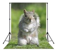 Red Squirrel Print Photo Studio Background 5x7ft Soft Photo Backdrop Curtain For Studio Content Creator Equipment