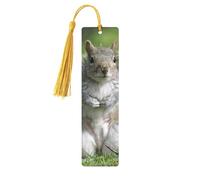 Red Squirrel Print Reading Page Markers Bookmarks, 5pcs Wood Bookmarks with Tassels, Gifts for Book Lovers