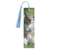 Red Squirrel Print Reading Page Markers Bookmarks, 5pcs Wood Bookmarks with Tassels, Gifts for Book Lovers