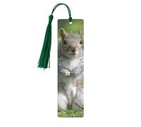 Red Squirrel Print Reading Page Markers Bookmarks, 5pcs Wood Bookmarks with Tassels, Gifts for Book Lovers