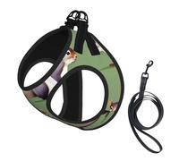 Red Squirrel Print Soft Mesh Dog Harness and Leash Set Pet Puppy Cat Comfort Padded Vest No Pull Harnesses