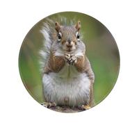 Red Squirrel Printed Gaming Mouse Pad 2 PCS, Round Non-Slip Rubber Base Laptop Mousepad Desk Mat for Gamer, Office, Home
