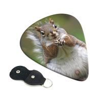 Red Squirrel Printed Guitar Picks, 6 Pack with Leather Keychain Pick Holder - 0.46mm, 0.71mm, 0.96mm Assorted Thickness for Acoustic Ukulele, Electric Guitar, Acoustic Guitar, Bass