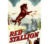 Red Stallion