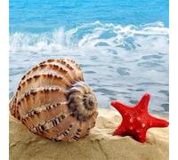 Red Starfish Ocean Jigsaw Puzzle 200 Pieces 28x28cm/11x11inch, Difficult jigsaw puzzles for Adults 200, Beautiful Art work, Great Festive Puzzle Gift for Men/Women