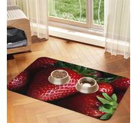 Red Strawberry Dog Food Mat, Absorbent Pet Feeding Mat for Food and Water Bowls Non-Slip Placement Pad for Floors Waterproof Quick Dry Water Dispenser Mat for Dogs Puppy Cats 16x24 Inch
