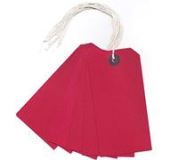 Red Strung Tags 120mm x 60mm Reinforced Luggage Labels Tie On String Tag (100 Pack) Ivy