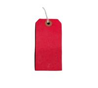 Red Strung Tags 120mm x 60mm Reinforced Luggage Labels Tie On String Tag (50 Pack) Ivy