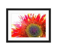 Red Sunflower Head Close Up Large Art Print Poster Wall Decor 18x24 inch Supplied Ready To Hang With Included Mount Brackets