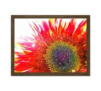 Red Sunflower Head Close Up Large Framed Art Print Poster Wall Decor 18x24 inch