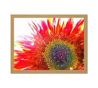 Red Sunflower Head Close Up Large Framed Art Print Poster Wall Decor 18x24 inch