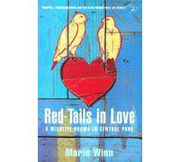 Red-tails in Love: A Wildlife Drama in Central Park